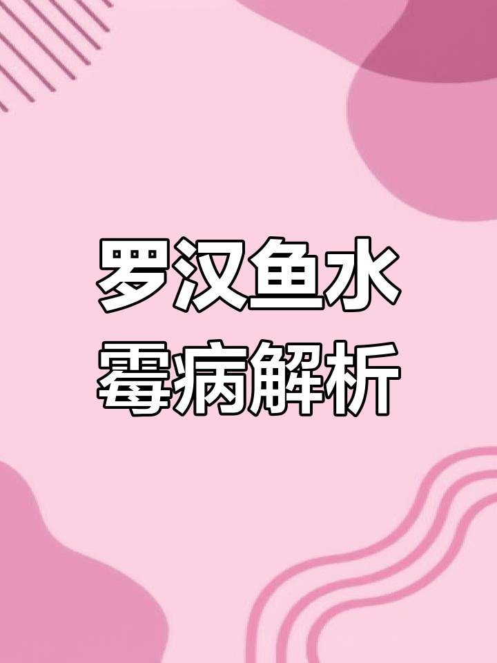 罗汉鱼水霉病症状与防治方法