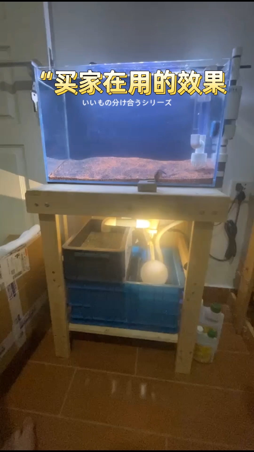 鱼缸过滤下水管道安装视频看看能不能找到你