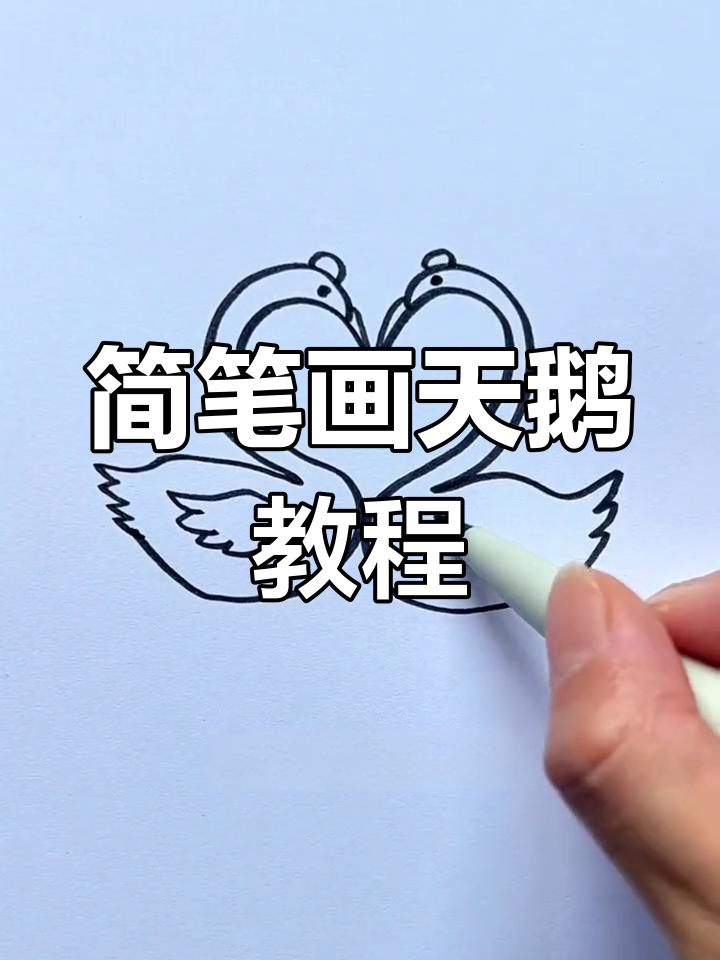 用简单线条画白天鹅,轻松学会