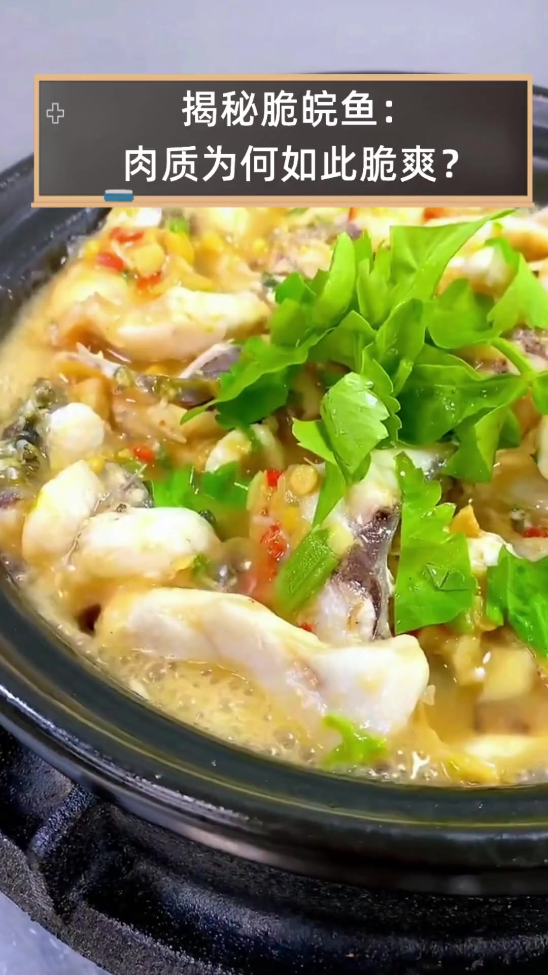 揭秘脆皖鱼:肉质为何如此脆爽?