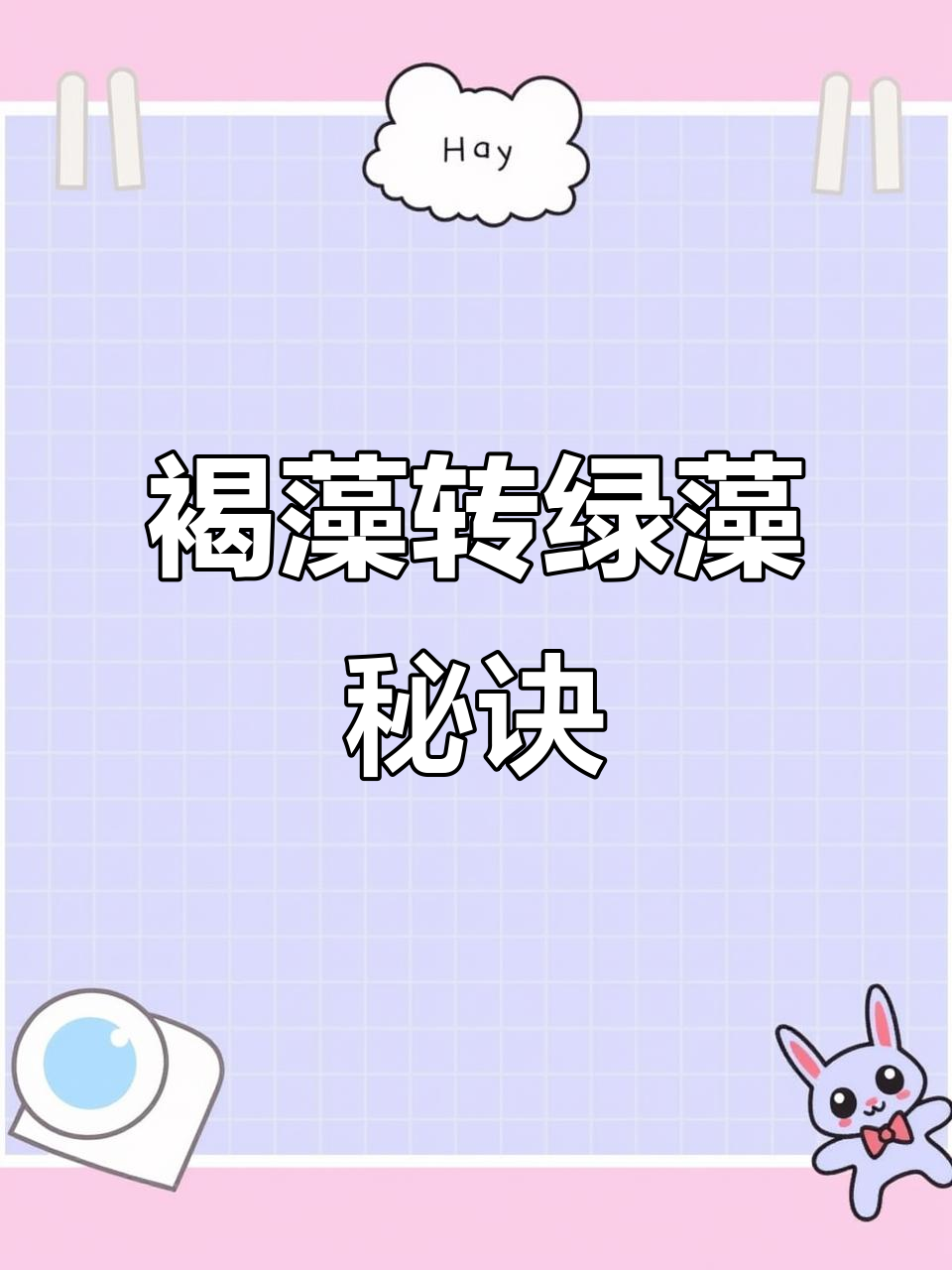 了解褐藻成因,才能成功转为绿藻