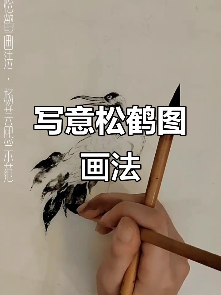 杨芸熙教你写意松鹤图，国画技法全解析