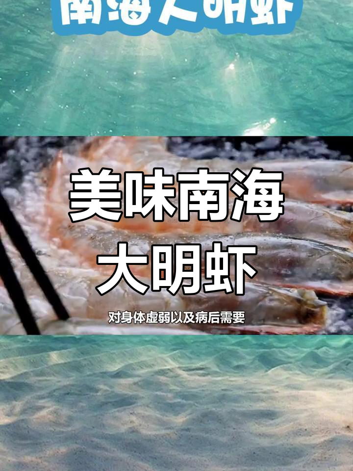 南海大明虾:鲜美对虾王,营养丰富,做法简单