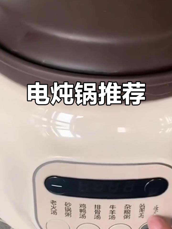 苏泊尔电炖锅，慢煮养生汤粥，家用健康烹饪首选