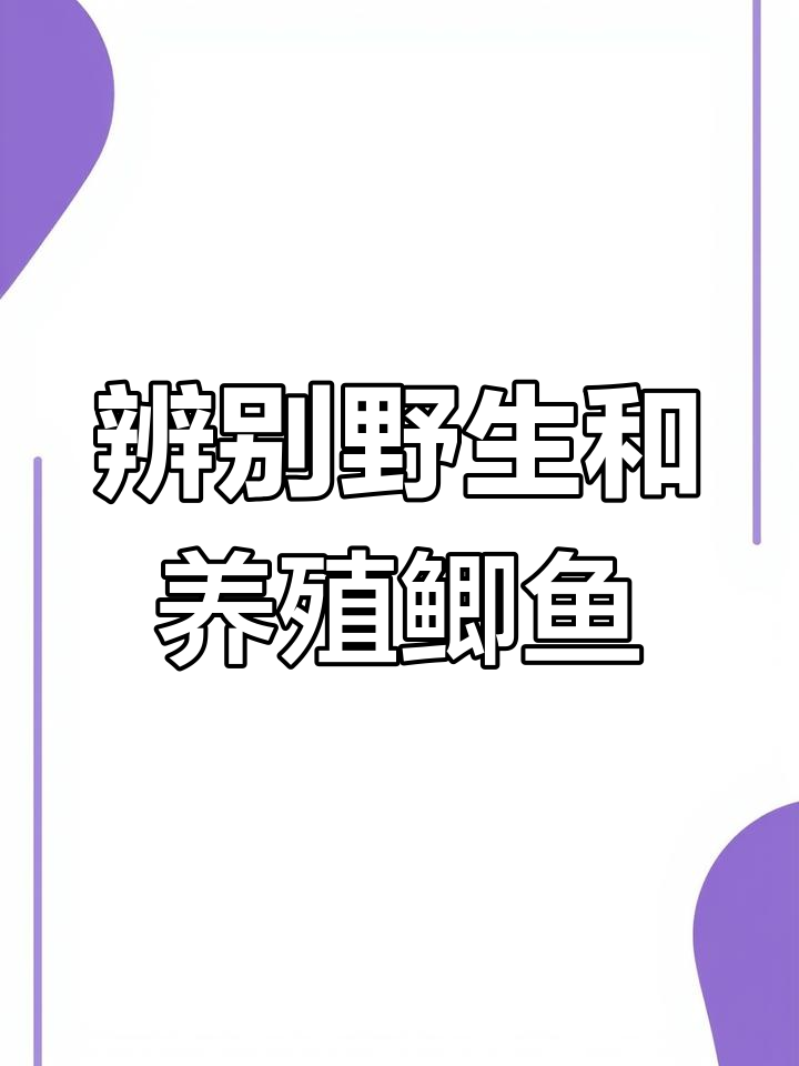 如何分辨野生与养殖鲫鱼?背部颜色是关键