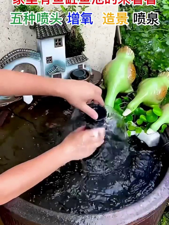 让你的鱼池放上这样的喷泉泵,既美观又能增氧,质量好!