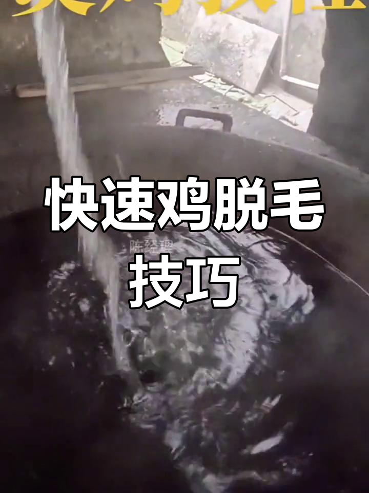 自动鸡脱毛机,轻松去毛不费力