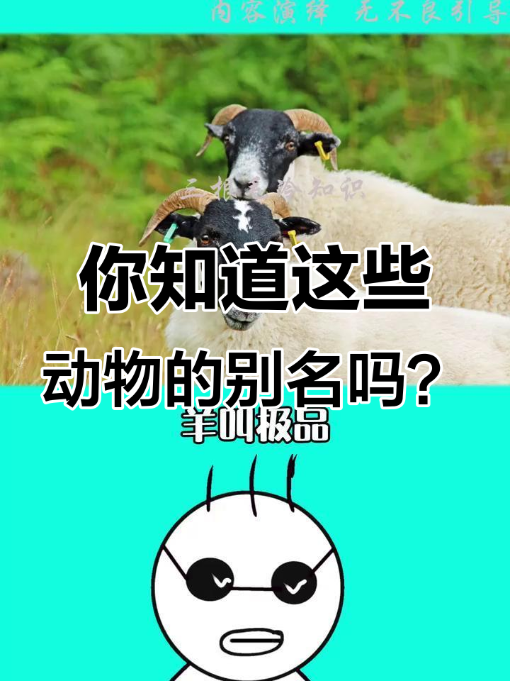 动物们的那些别称,原来这么有趣!