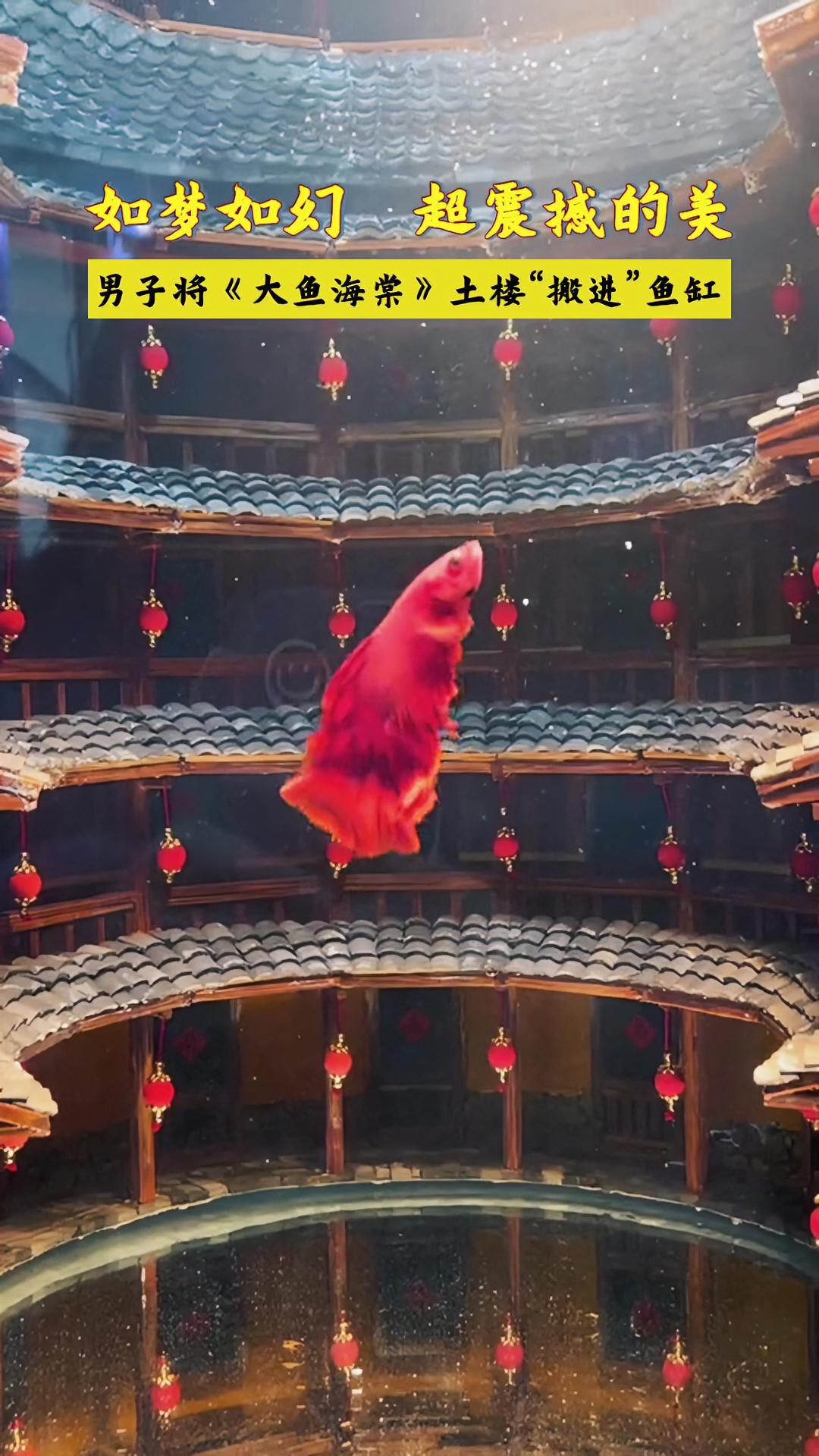 男子花八天时间把“大鱼海棠”装入鱼缸,还原大鱼海棠围楼场景 美 大鱼海棠