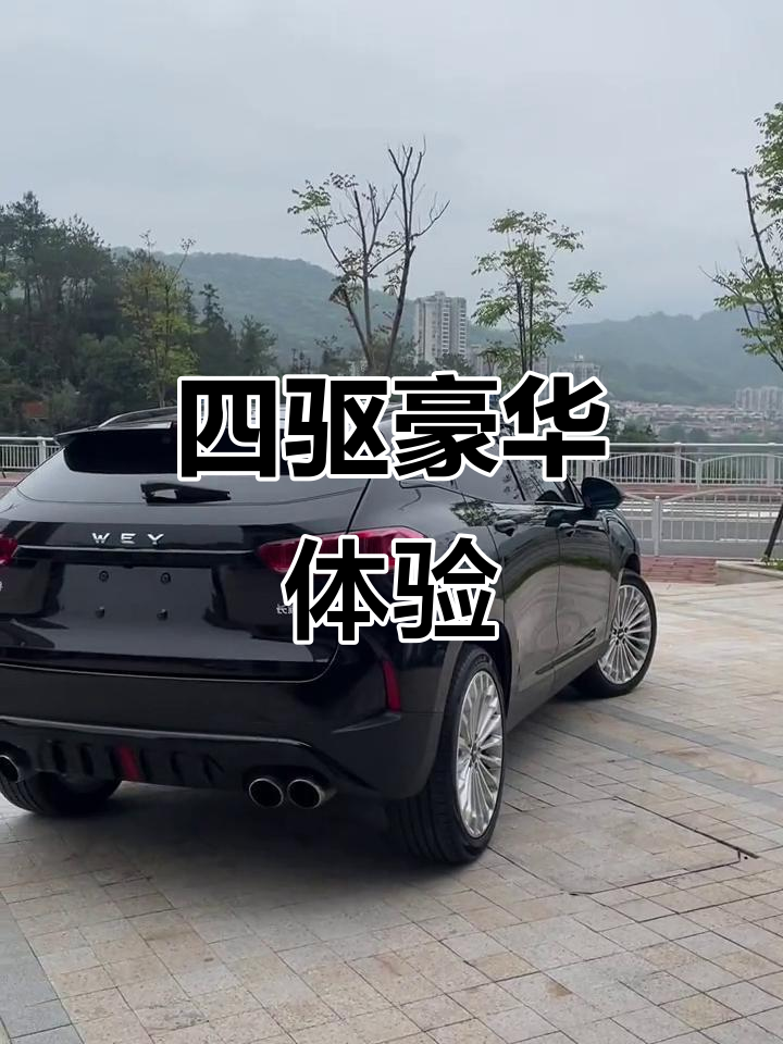 魏派P8，四驱豪华配置，动力强劲，外观时尚