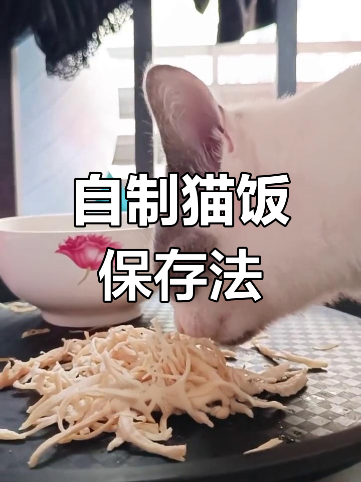猫饭制作技巧:如何保存鸡胸肉,让猫咪吃得健康