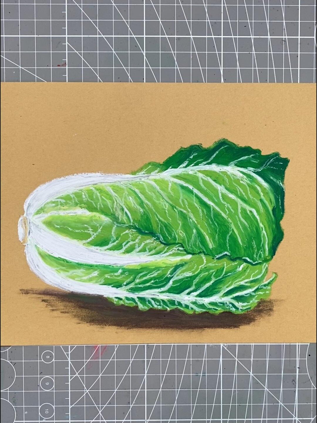 油画棒写实白菜|少儿创意绘画