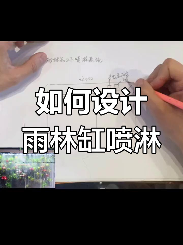 雨林缸喷淋系统设计与安装全攻略