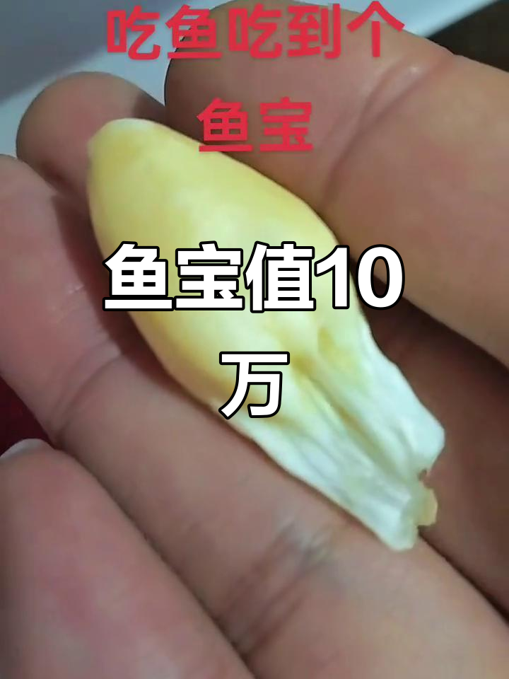 鱼宝价值10万，有人上门求购