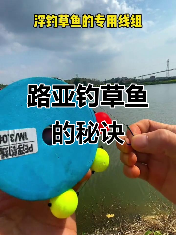路亚钓大草鱼技巧,挂泥鳅还能钓其他鱼种
