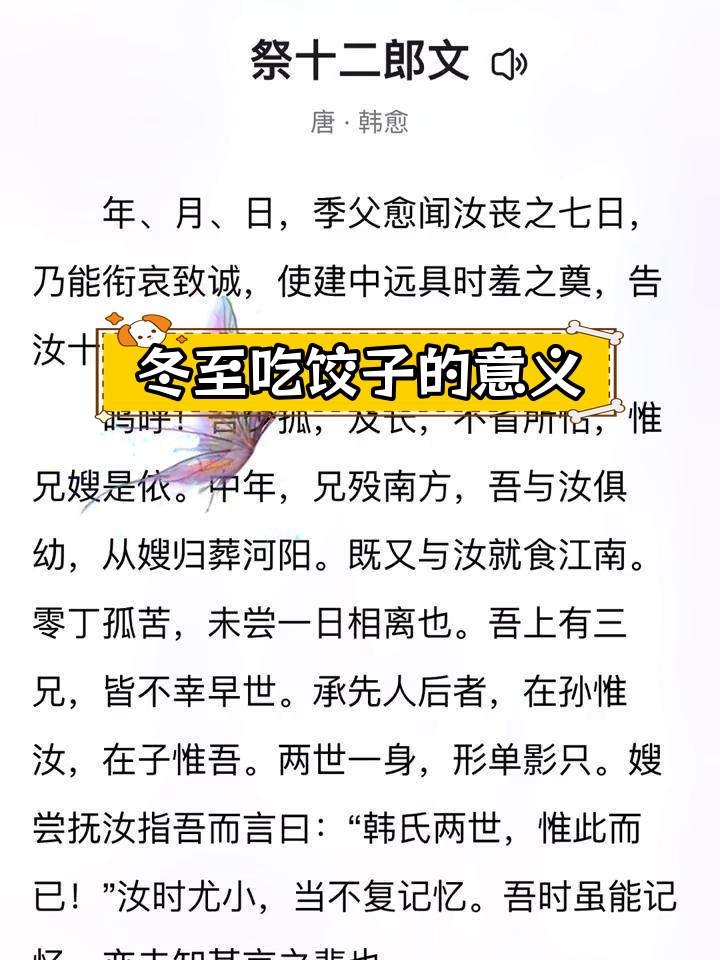 传承冬至文化,品味经典饺子
