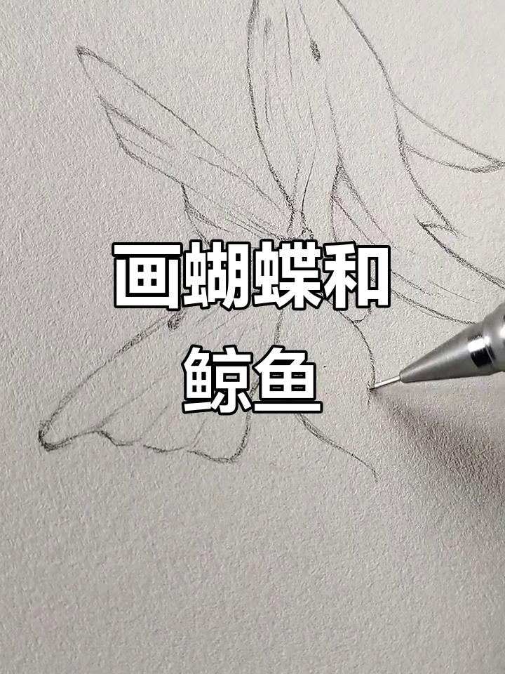 蝴蝶与鲸鱼的绘画挑战,能否成功?