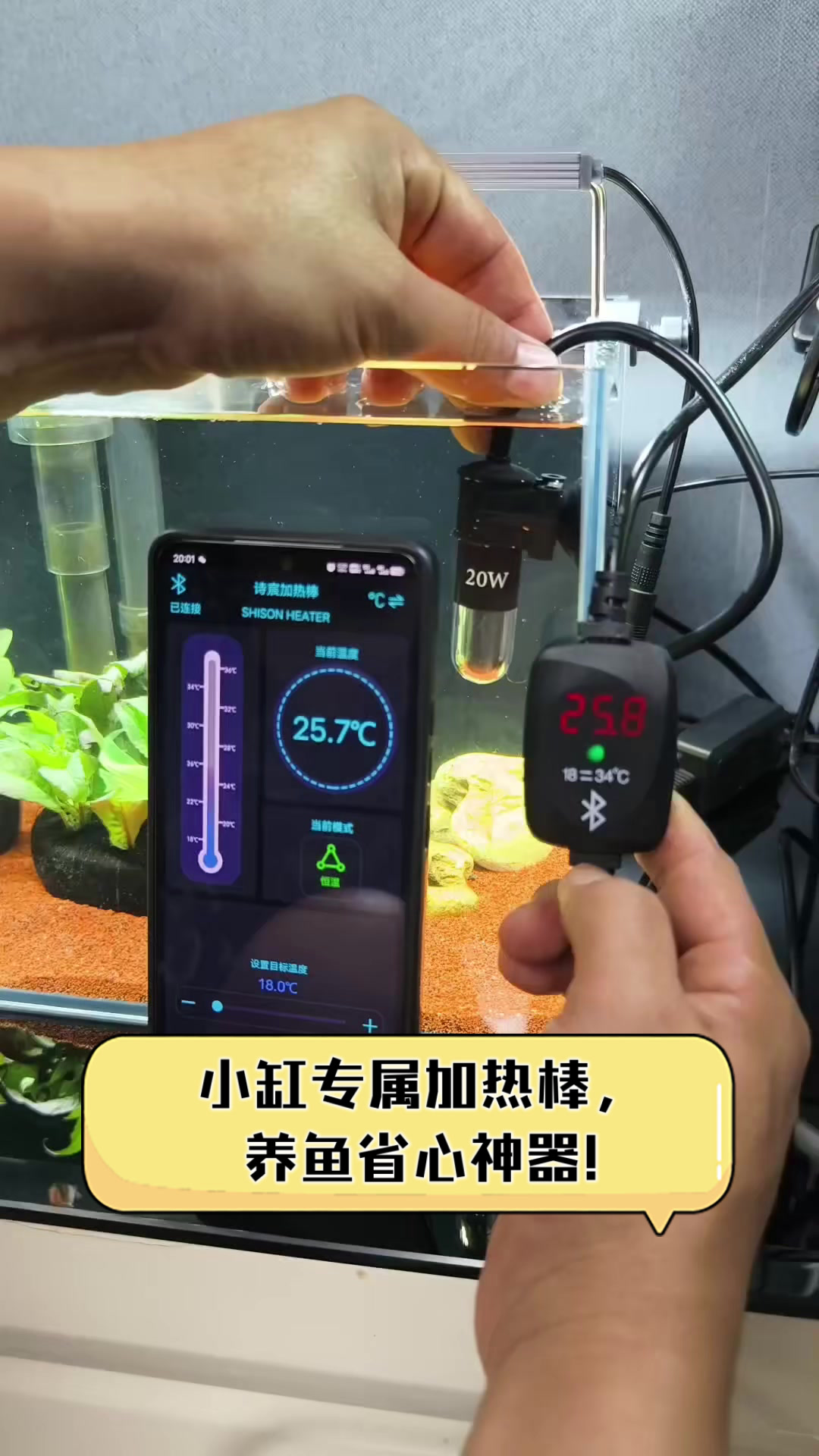 小缸专属加热棒,养鱼省心神器!