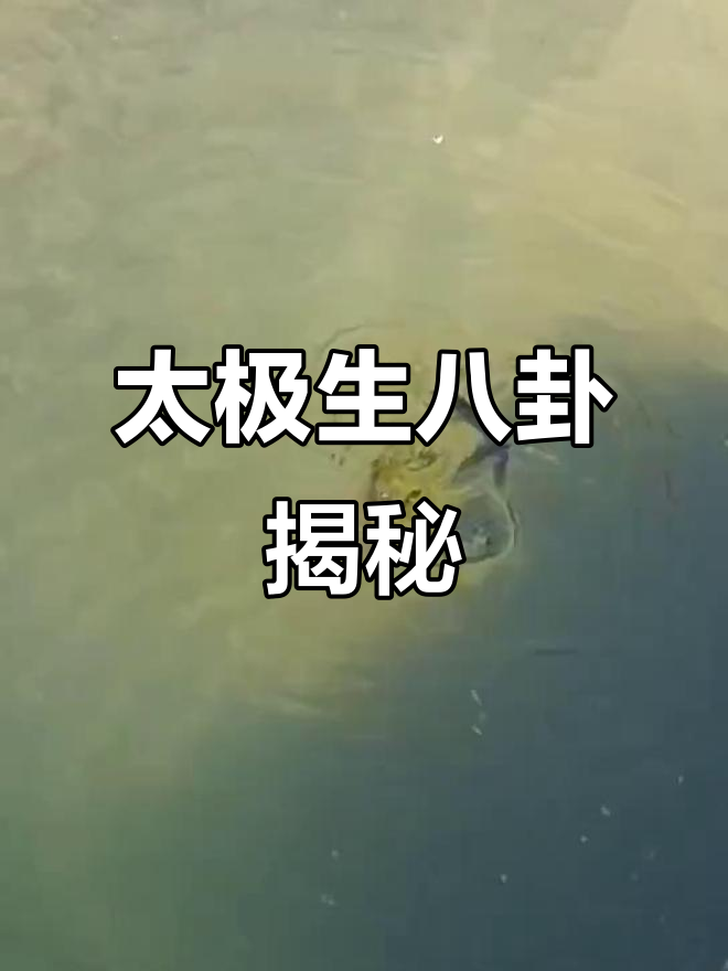 太极鱼与八卦的奥秘:从两仪到四象,再到八卦演变