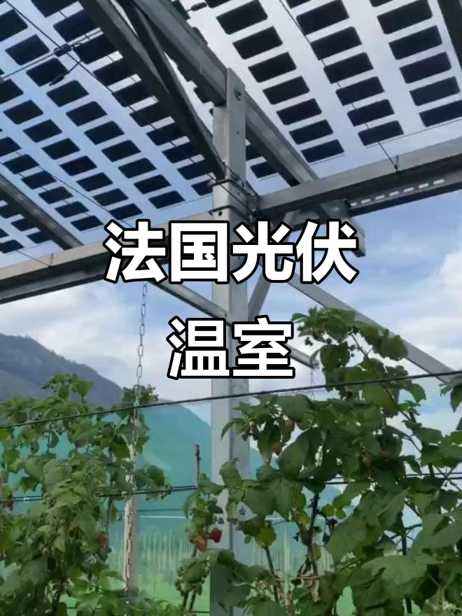 法国光伏大棚：农光互补，绿色电力与蔬菜生产的完美结合