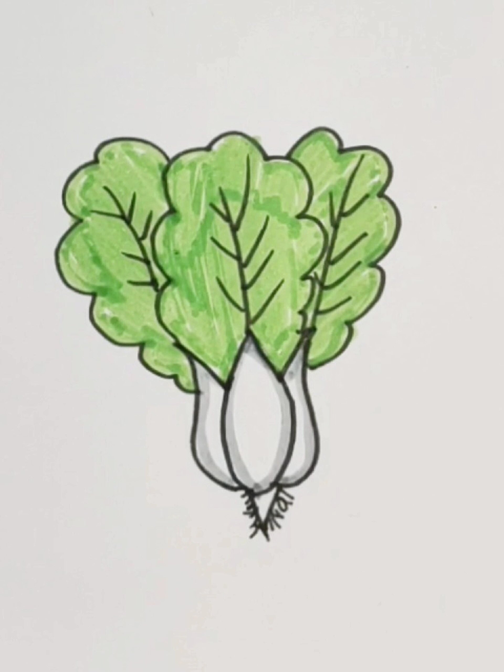小白菜简笔画,很简单,快试试吧!
