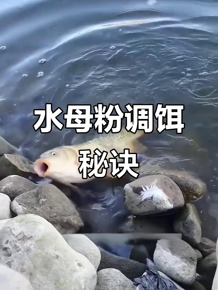 钓鱼技巧大揭秘：如何用这种方法开饵，钓到大鲫鱼和大鲤鱼