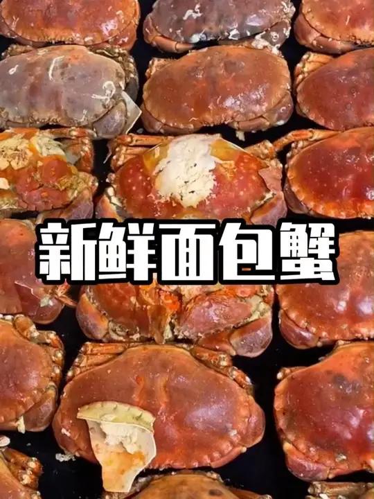英国熟冻面包蟹,400g金黄母蟹,海鲜大螃蟹