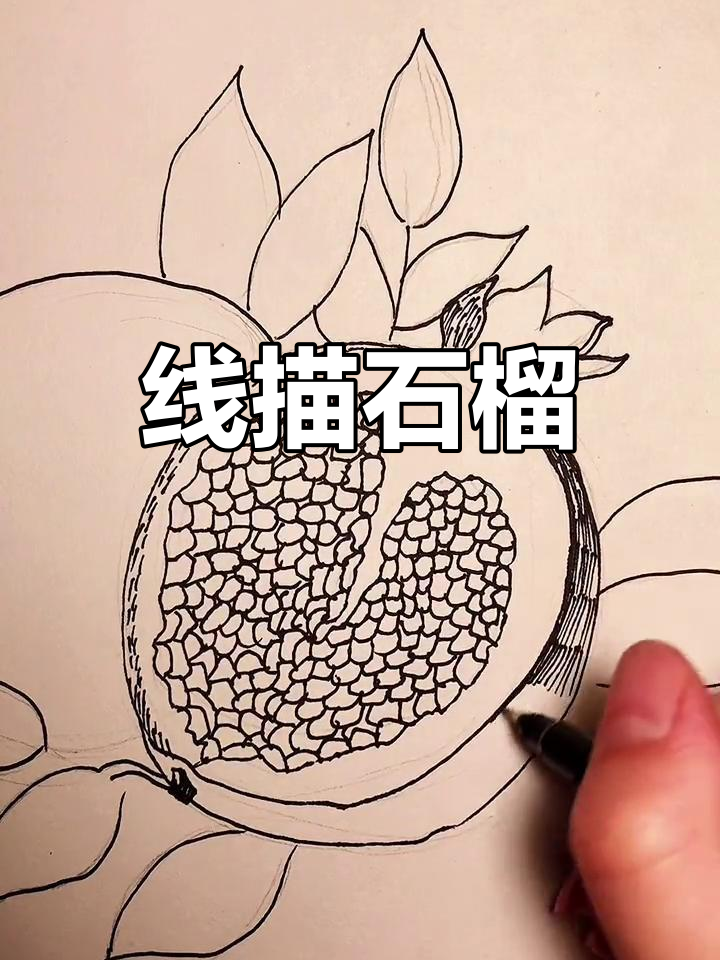 创意黑白线描画:石榴寓意多子多福,红火满满