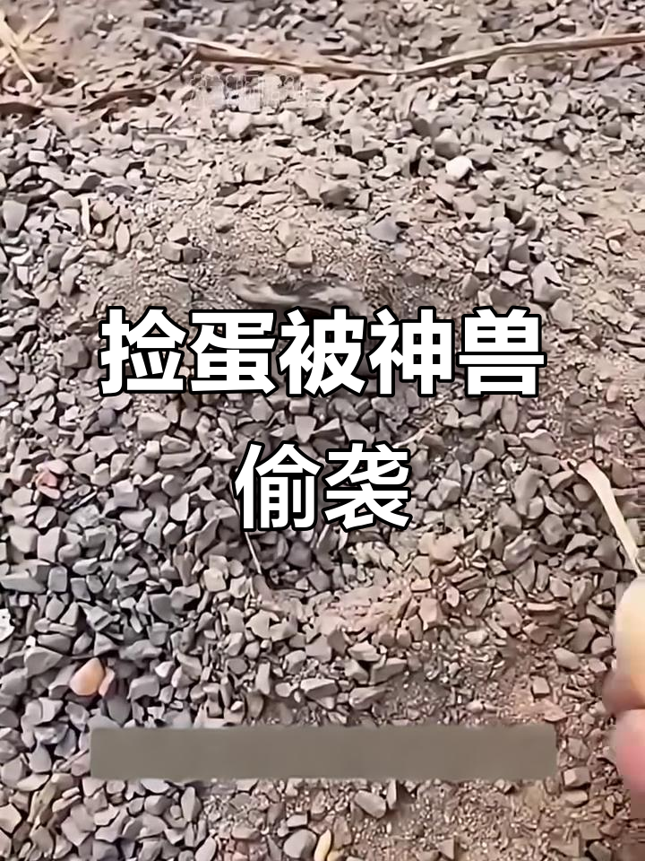 男子捏碎蛋后遭神秘动物猛踹,逃之夭夭