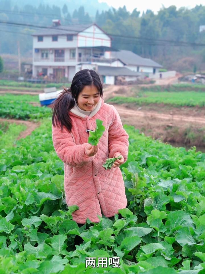 这种菜苔你们吃过吗?没想到还意外的好吃。新农人计划