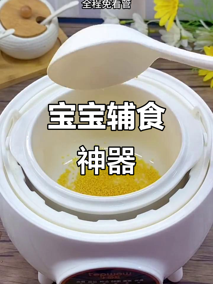 家里有小孩,这个小炖盅必备,煮粥汤都能轻松搞定