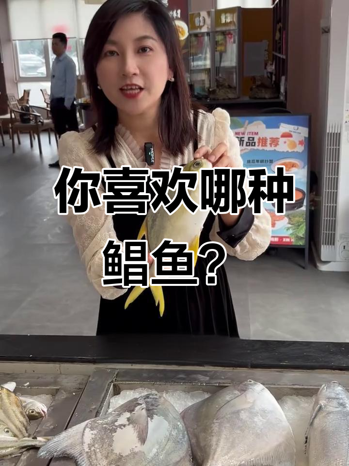 鲳鱼品种大揭秘:大白鲳、小白鲳与金鲳鱼的差别