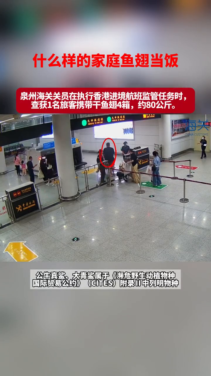 海关查获一名旅客携带干鱼翅4箱约80公斤