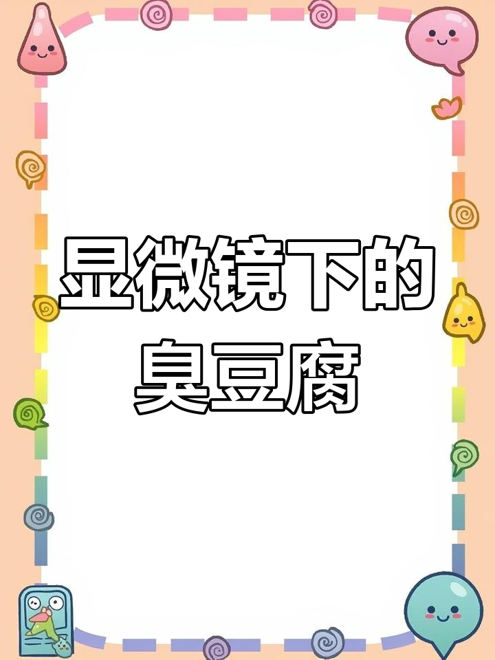 臭豆腐的微观世界