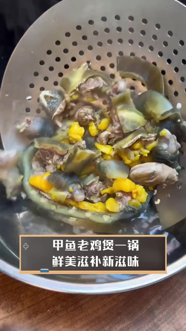 甲鱼老鸡煲一锅,鲜美滋补新滋味