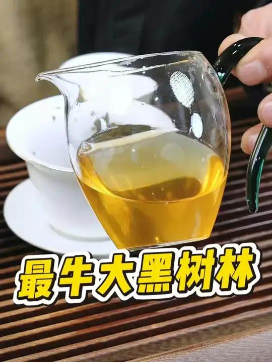 小叶种天花板——倚邦大黑树林