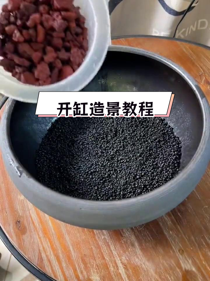 古法养鱼开缸全流程,打造生态水草景观