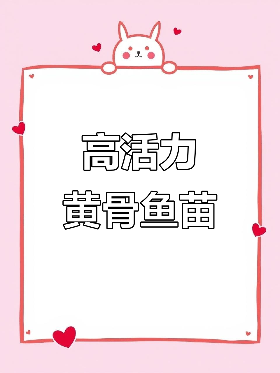 优质黄骨鱼苗,8-10公分长,活力十足