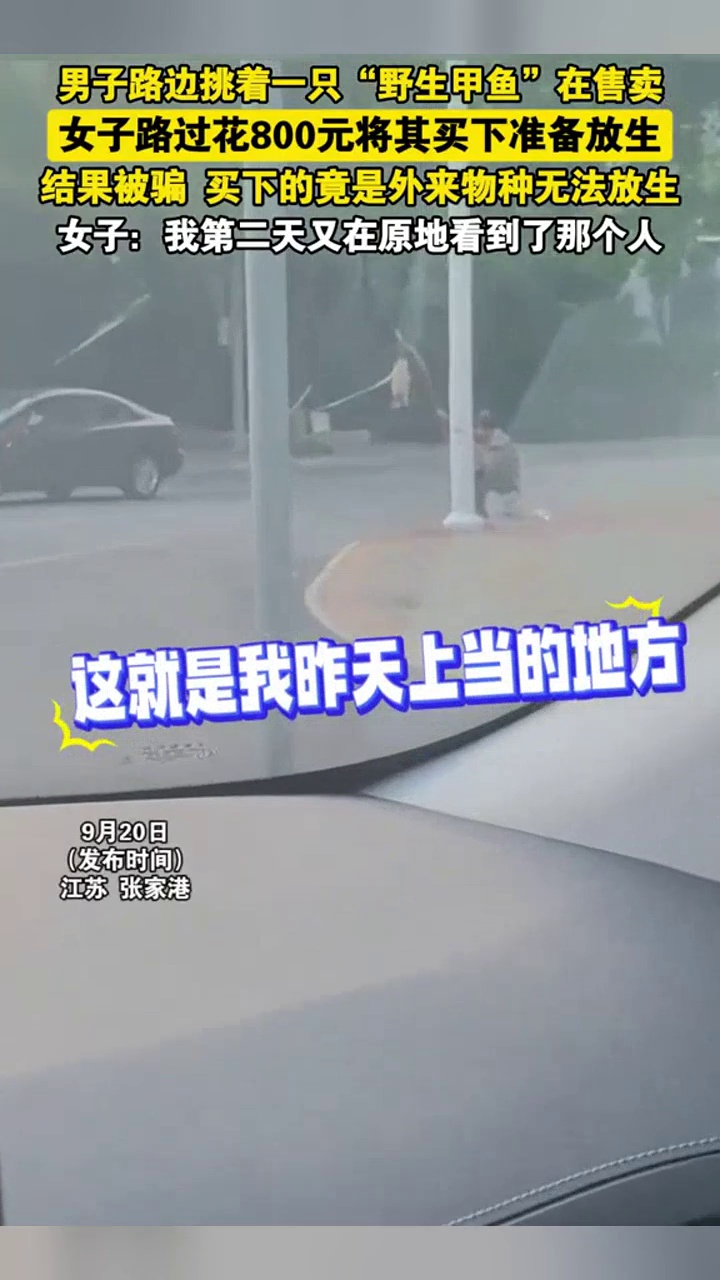 大叔售卖“野生甲鱼”,女子花800元买下放生时才知被骗:只能养