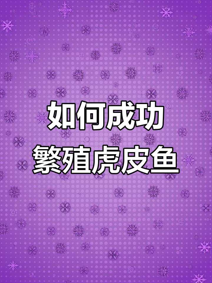 繁殖虎皮鱼的技巧与注意事项，公母比例很重要