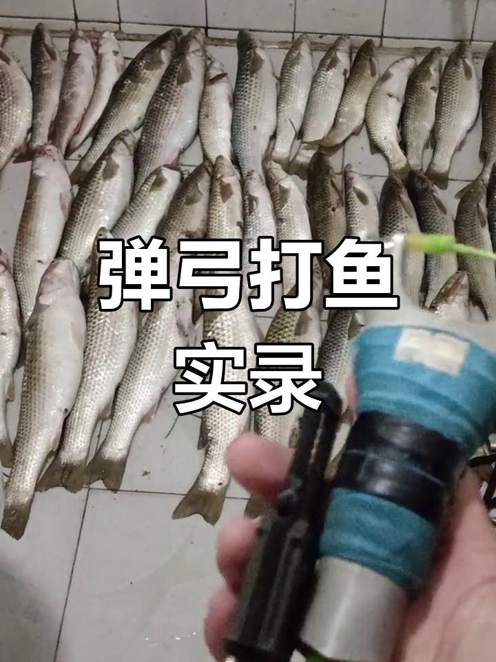 户外弹弓打鱼大挑战,看看能捕多少条!