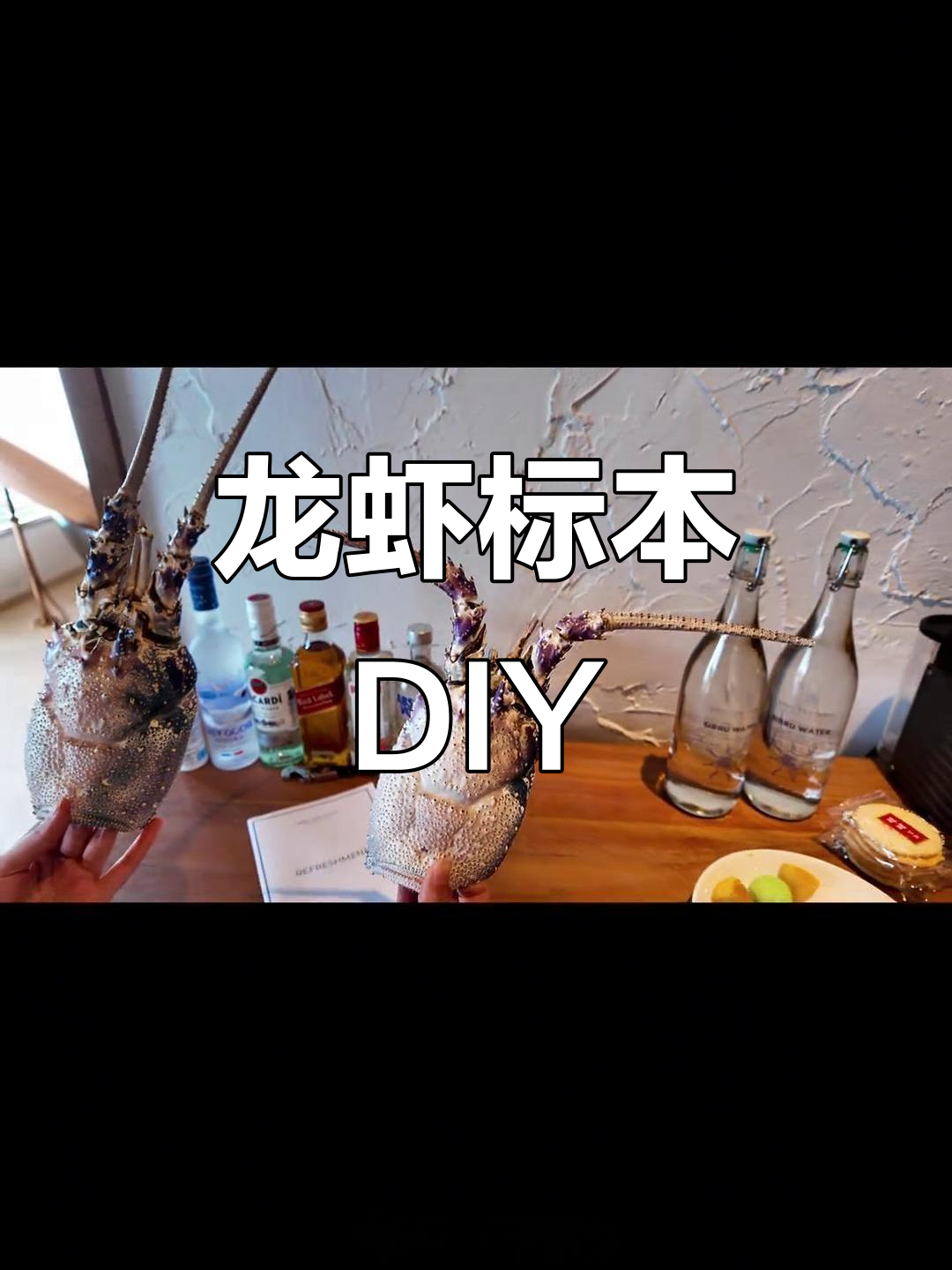 夏天到啦!龙虾标本制作大揭秘,男生女生都能玩