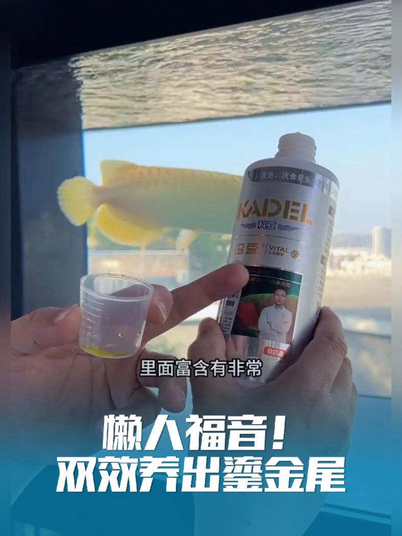 懒人福音!双效养出鎏金尾 无需复杂操作,科学配比维生素D3+E,鳞片硬亮如铠,尾鳍生长提速