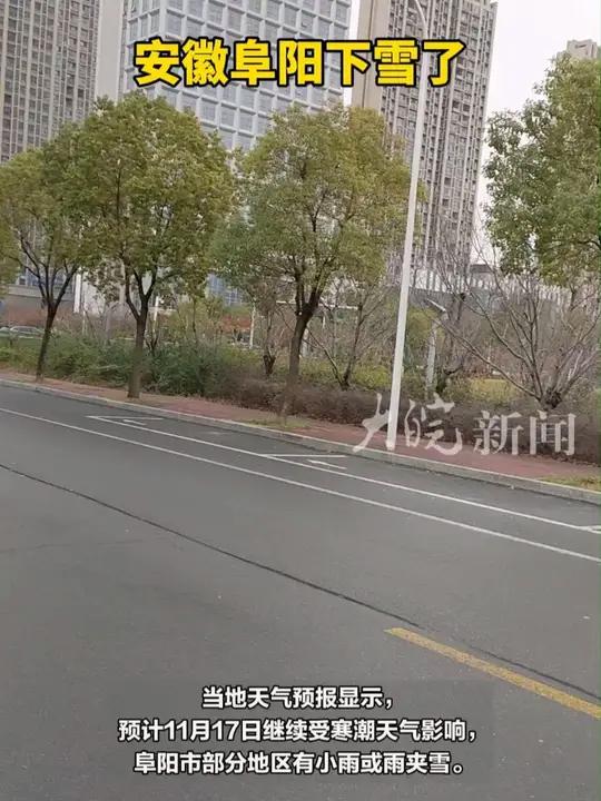 安徽阜阳下雪了