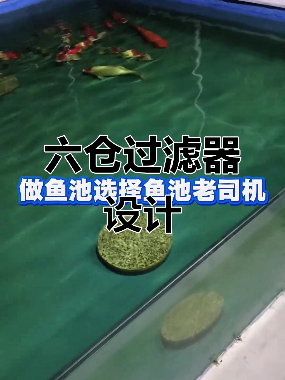 锦鲤鱼池过滤系统设计与安装,六仓滤材全解析