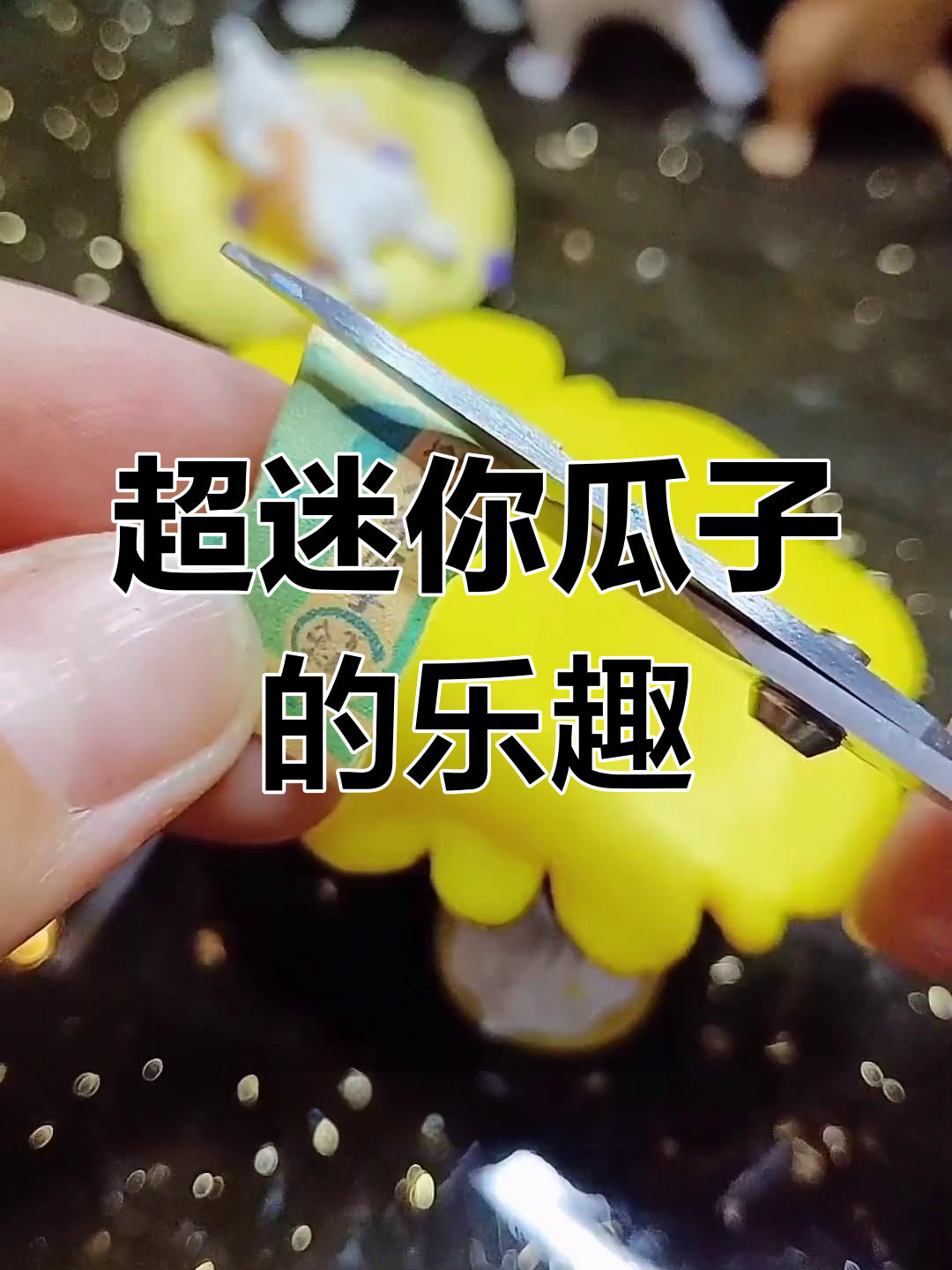 世界上最小的瓜子,竟然这么可爱!