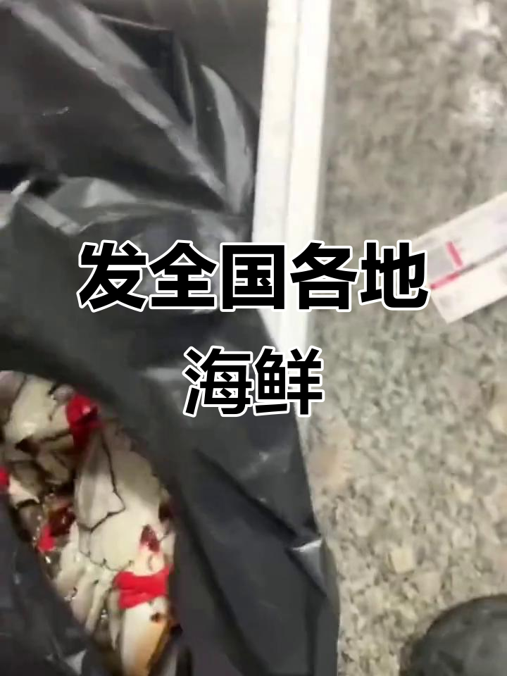 野生塔目鱼、偏口鱼等美味海鲜,发往全国各大城市