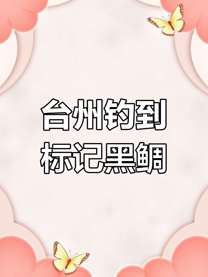 浙江钓鱼岛捕获有编码黑鲷,原来是增殖放流试验鱼苗