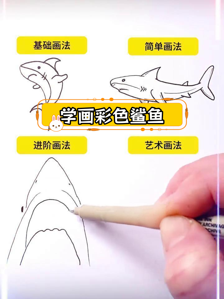 简单学画鲨鱼插图