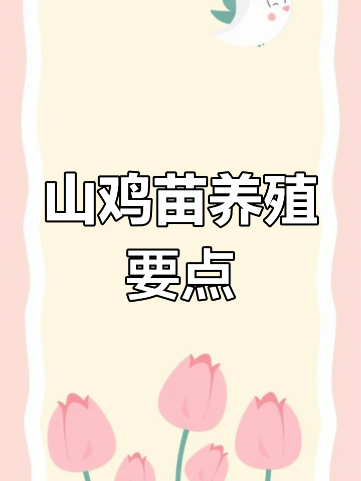 山鸡苗到家如何饲养?